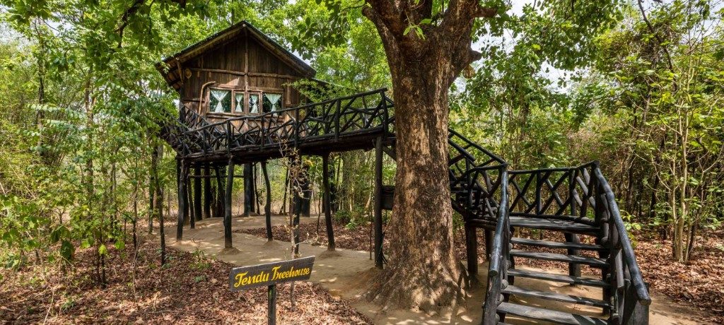 Tree House Hideway Bandhavgarh