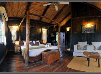 Boomhut, Tree House Hideway