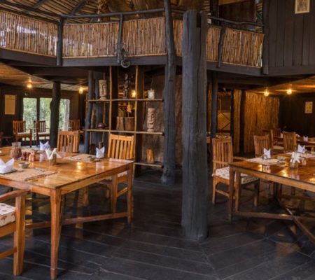 Eetzaal, Tree House Hideway