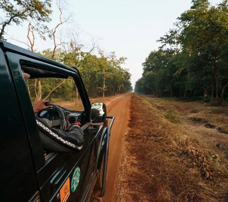 Game drive