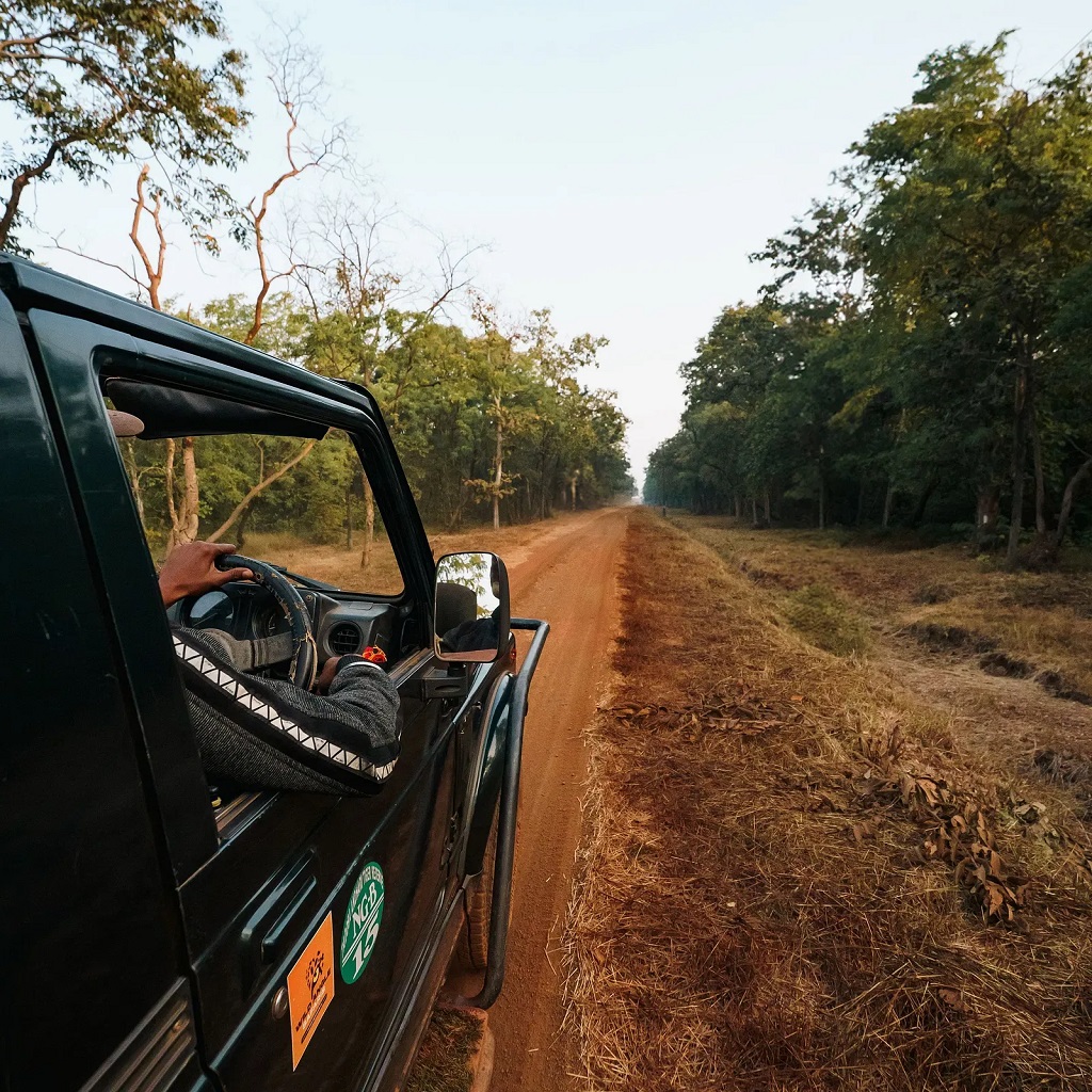 Game drive