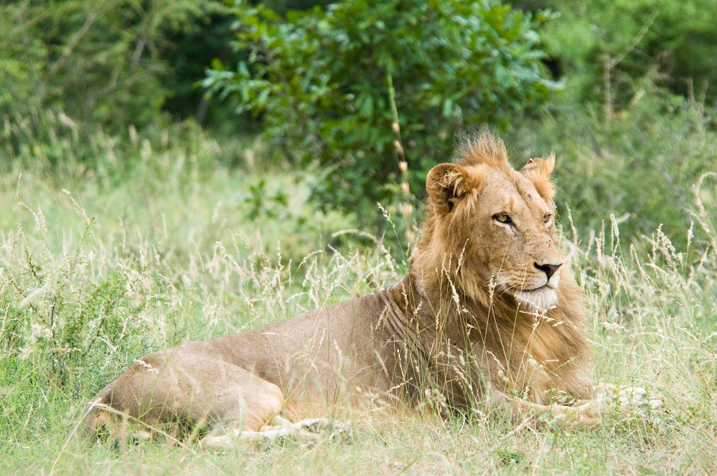 Tsavo East