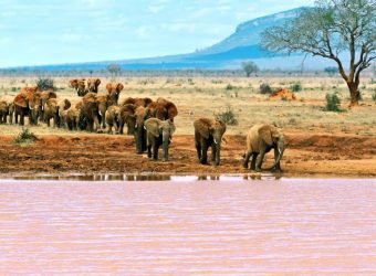 Tsavo Oost, Oost Kenia Safari