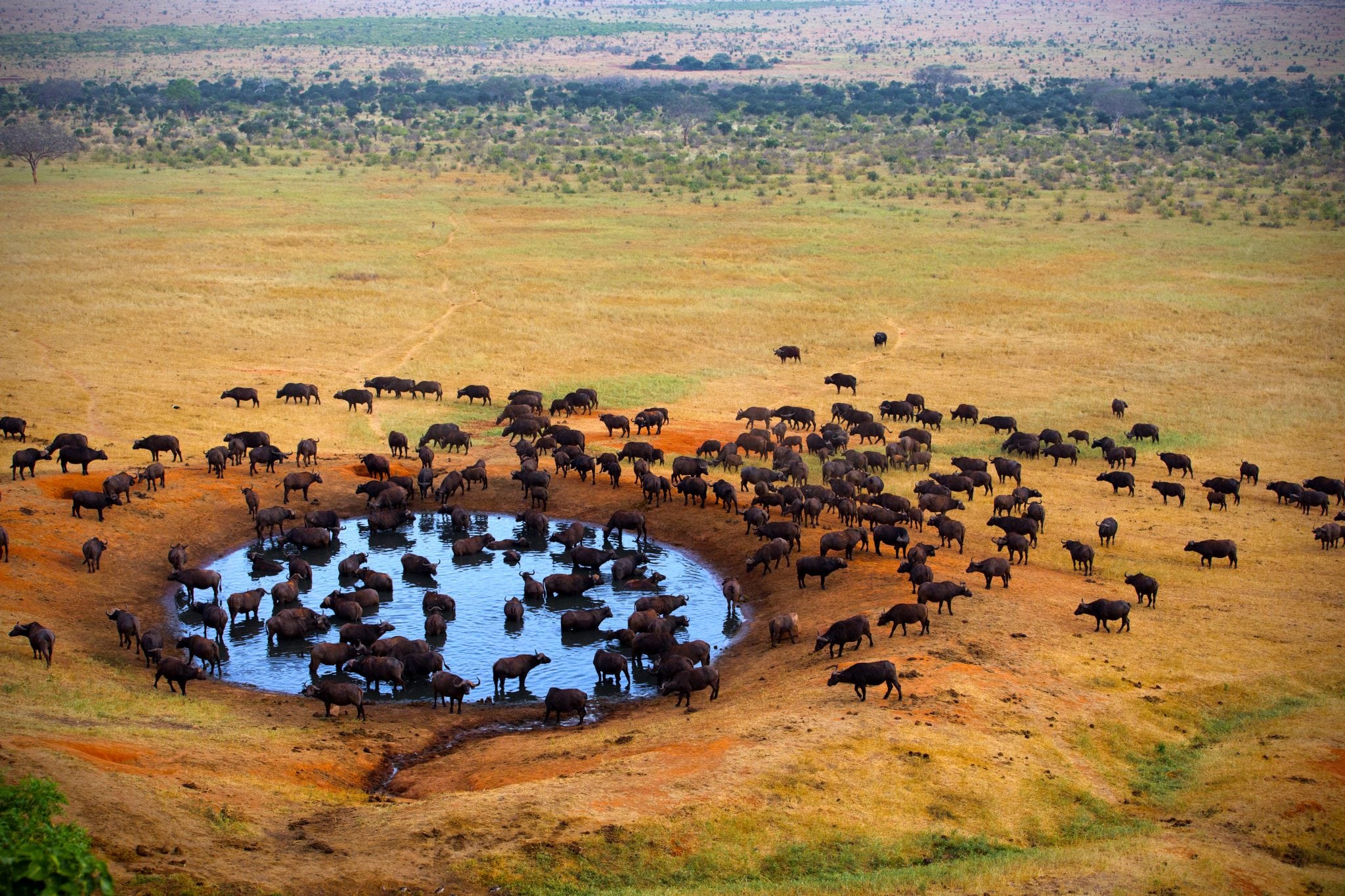 Tsavo Oost, Oost Kenia Safari