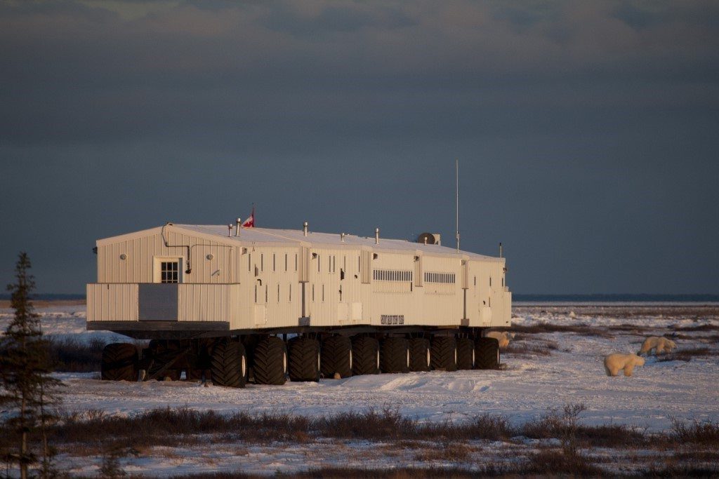 Tundra Lodge