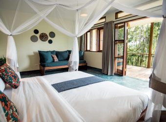 Standaard kamer, Turaco Treetops