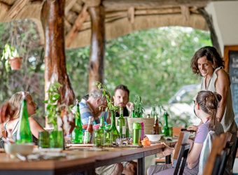 Restaurant, Turaco Treetops