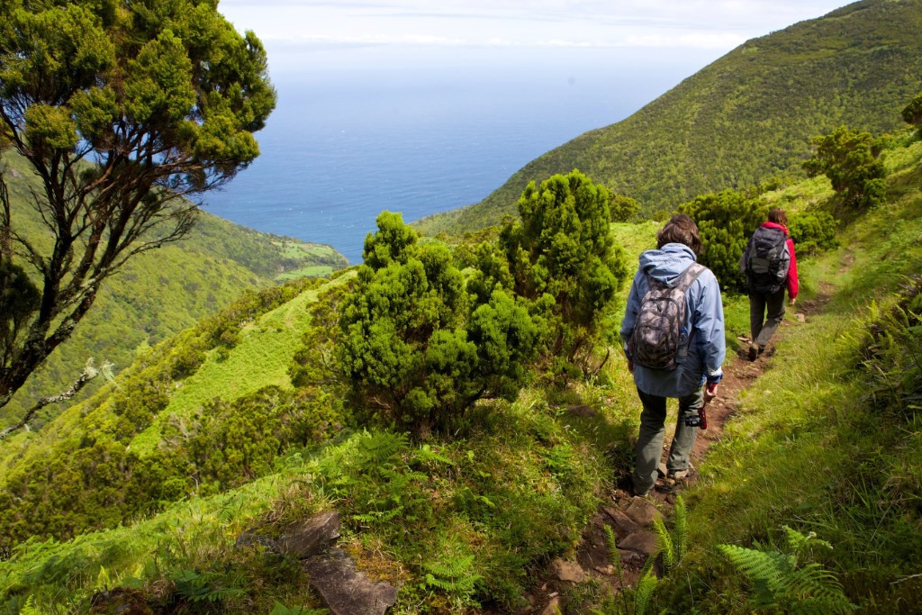 wandelen en walvissen azoren