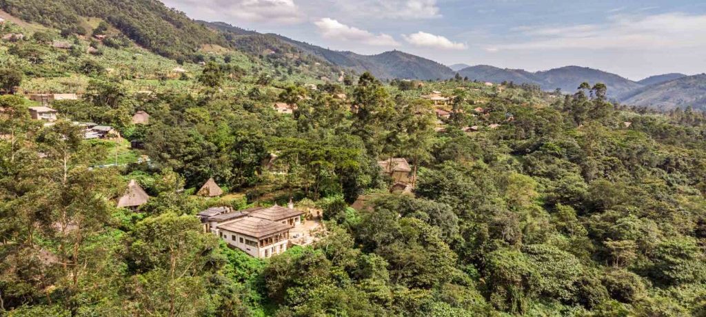 Volcanoes Bwindi Lodge