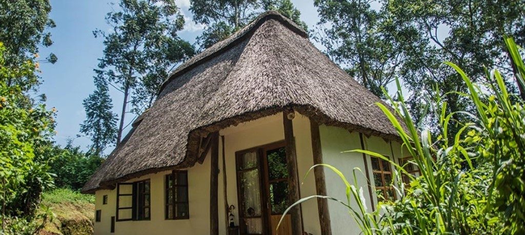 Volcanoes Bwindi Lodge