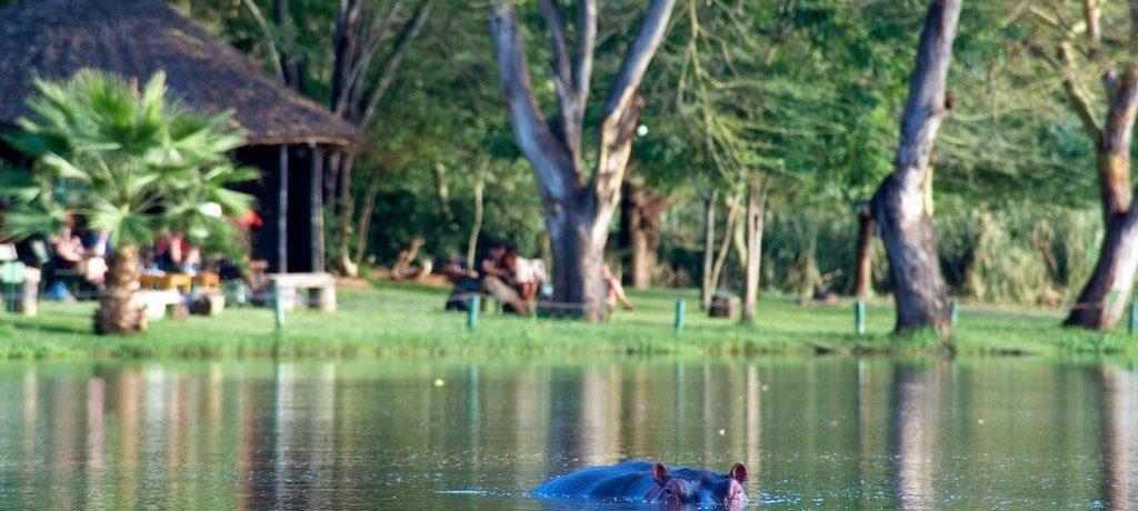 Voyager Ziwani Camp