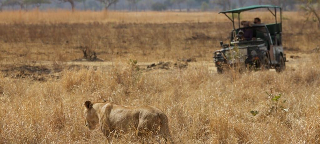 Vuma Hills Tented Camp