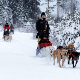 Foto: © Vuokatti Safaris, Finland