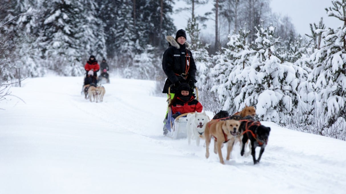 Foto: © Vuokatti Safaris, Finland