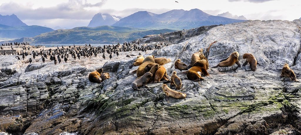 Vuurland, Antarctica reizen