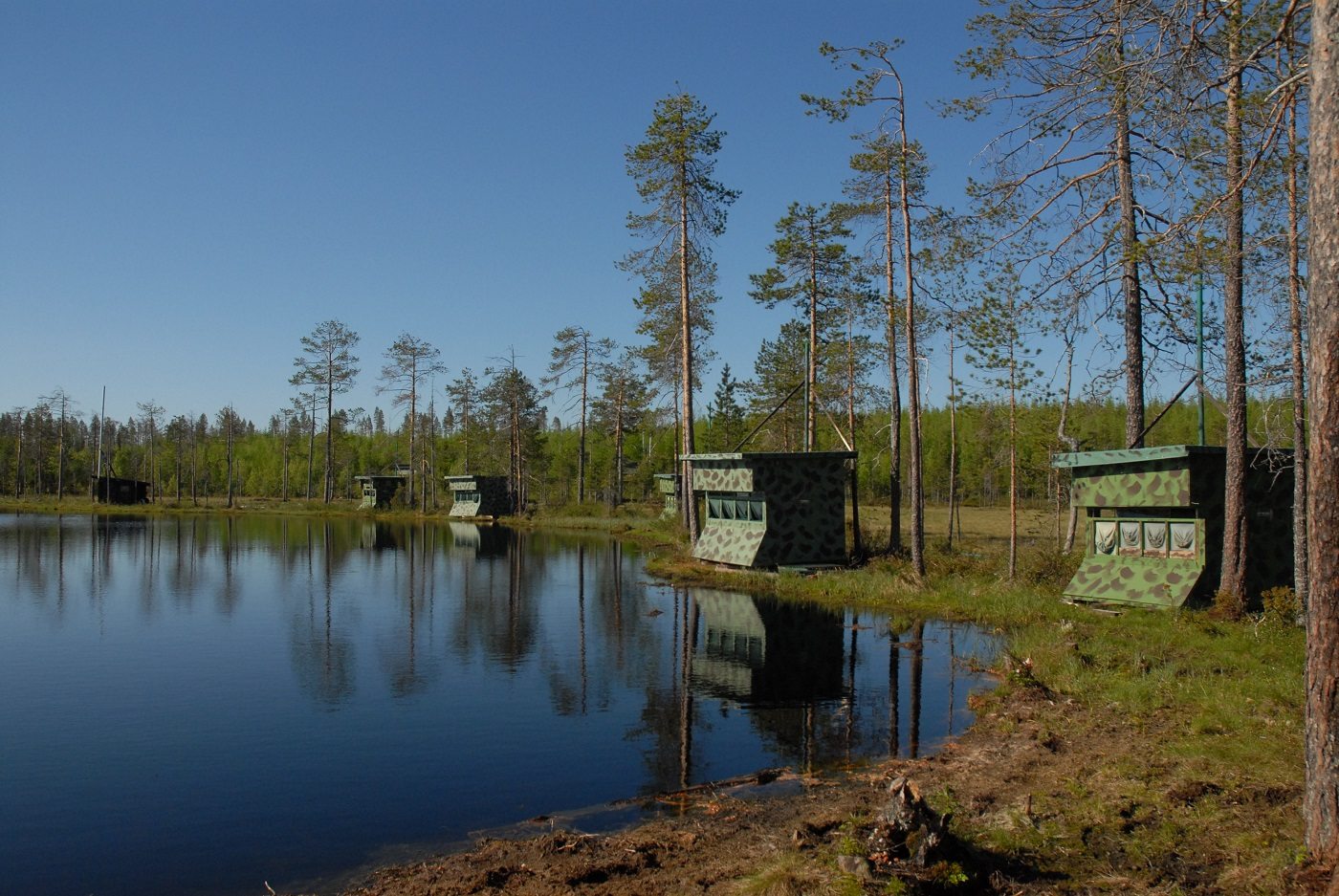 Beren observatie Lodge, Taiga wouden, Finland