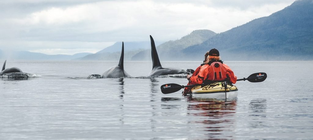 Wat te doen in Canada