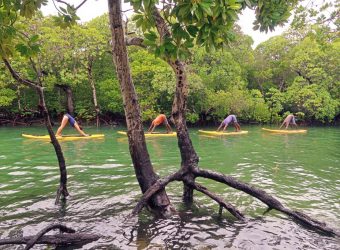 Sup board Watamu Treehouse