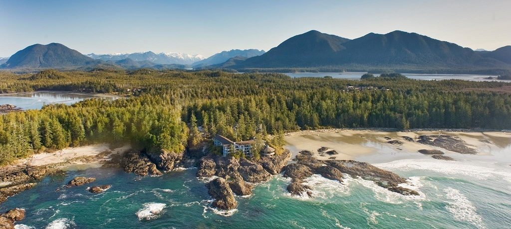 Tofino