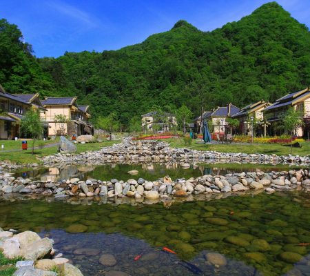 Wild Panda Reserve Hotel