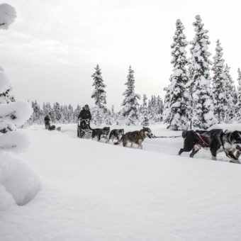 Fjellborg Arctic Lodge