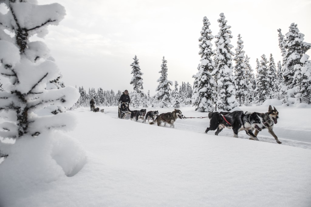 Fjellborg Arctic Lodge