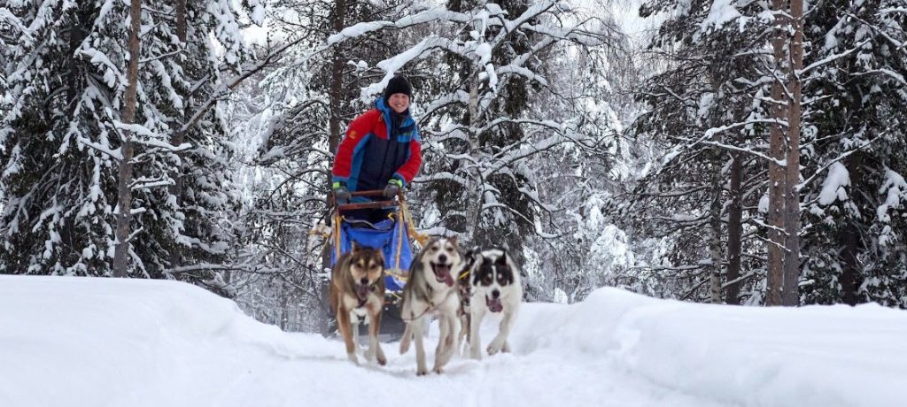 Husky safari