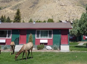 Yellowstone Gateway Inn