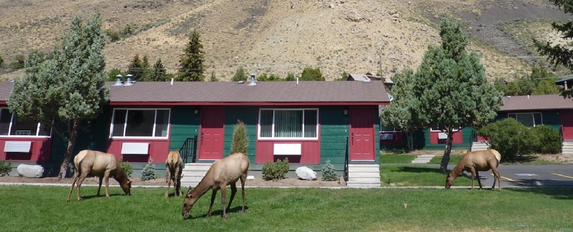 Yellowstone Gateway Inn