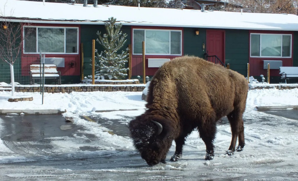 Yellowstone Gateway Inn