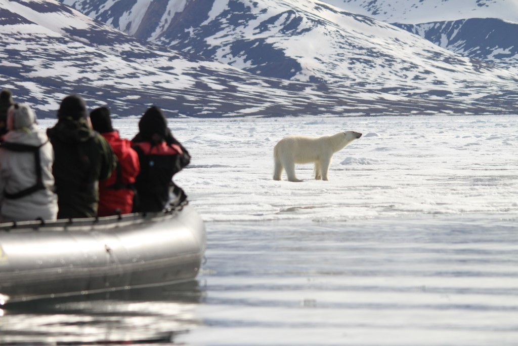 Spitsbergen reizen