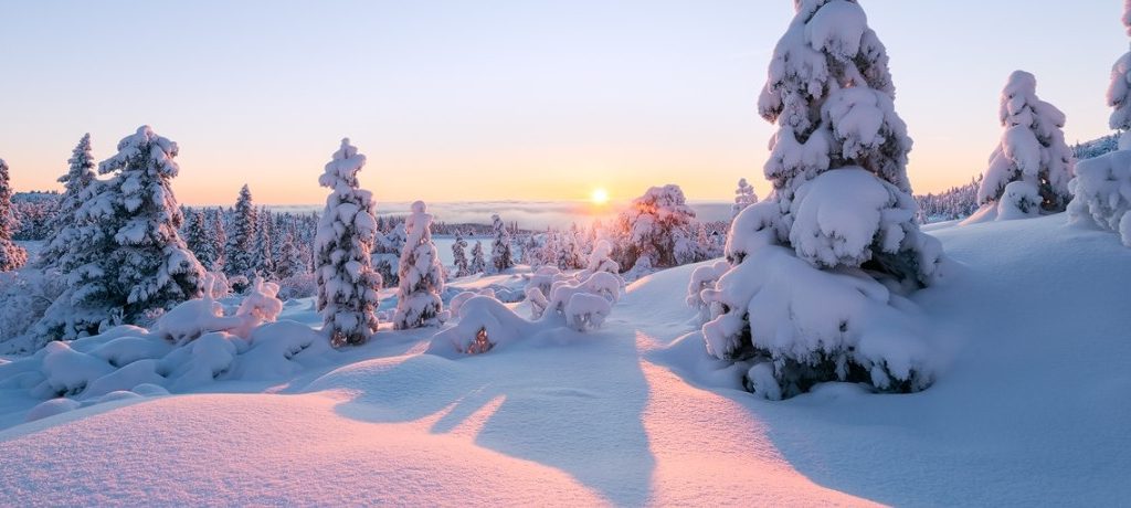 Avontuurlijke winterreis Zweeds Lapland