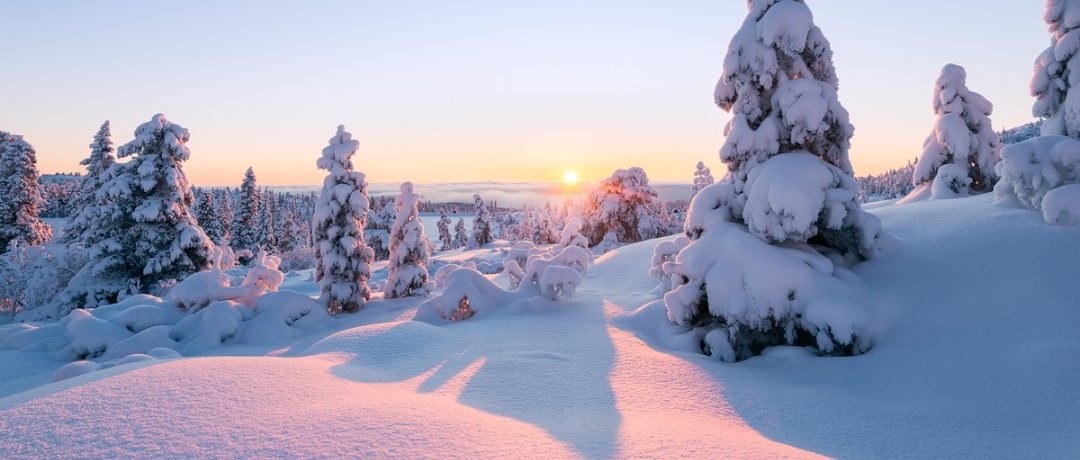 Avontuurlijke winterreis Zweeds Lapland