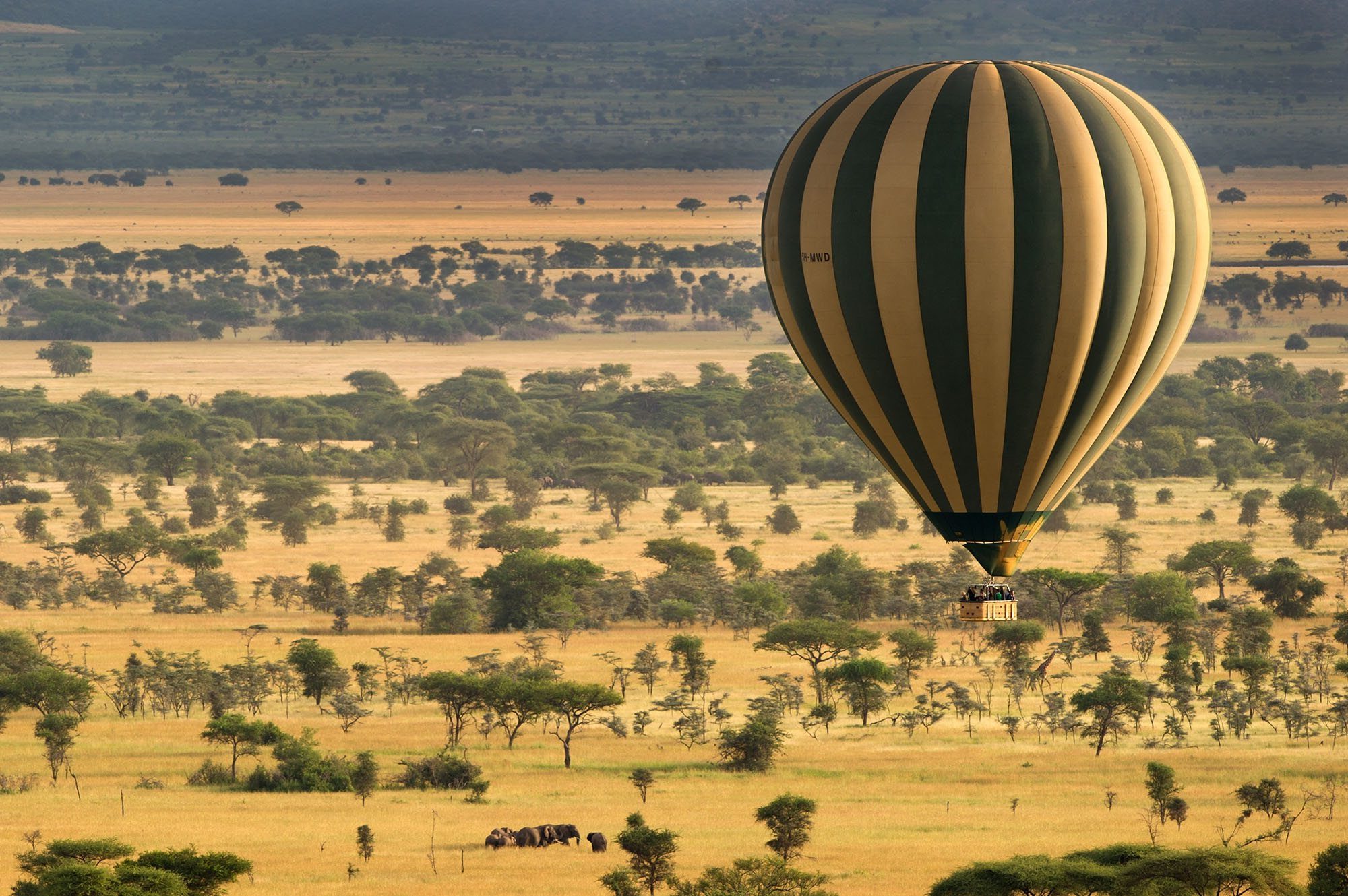 Luchtballonsafari Serengeti, Activiteiten Tanzania, Grote trekNoord Tanzania