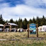 Alaska Bear Camp