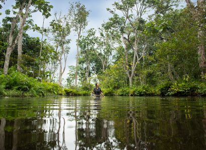 Veel gestelde vragen over Congo