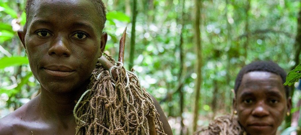 Ba'Aka - Dzanga Sangha