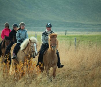 Country life