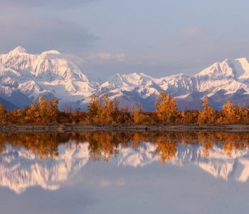 Denali National Park