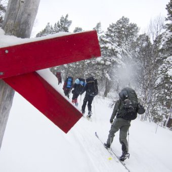 Cross country skiing