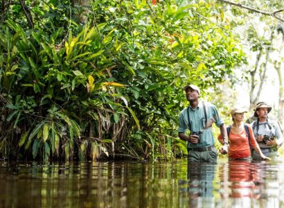 Activiteiten Congo, Natuurreizen naar tropische regenwouden