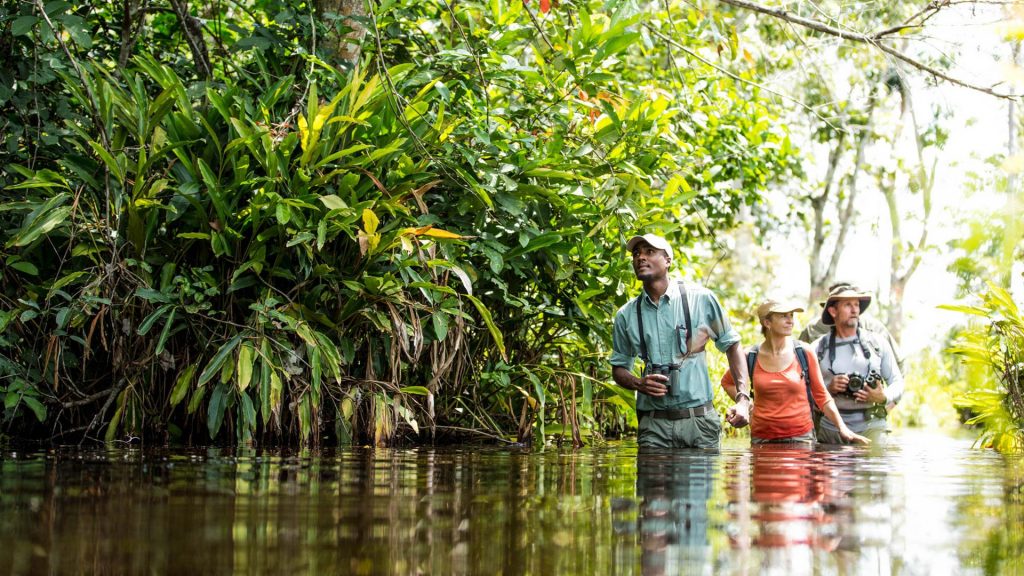 Activiteiten Congo, Natuurreizen naar tropische regenwouden