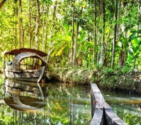 Kumarakom, jungletrip