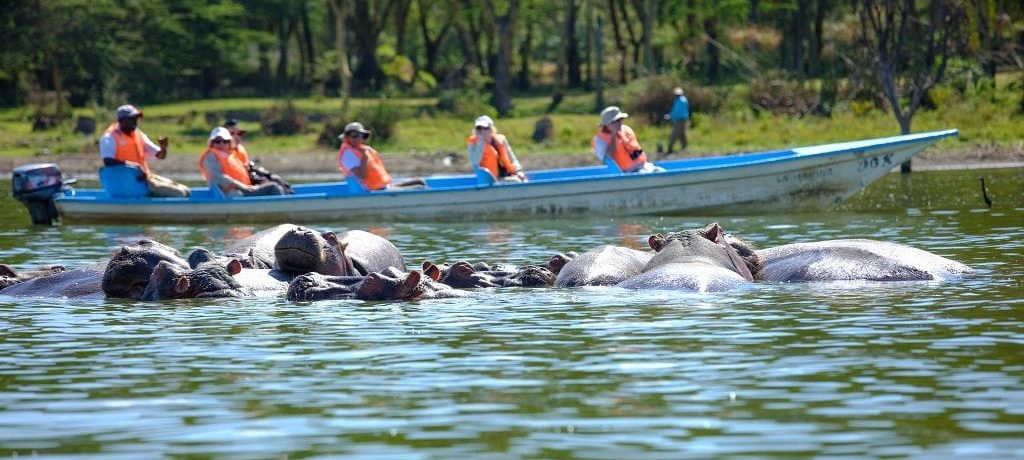 Nijlpaard, Lake Naivasha, Kenia - Shutterstock Lake Naivasha