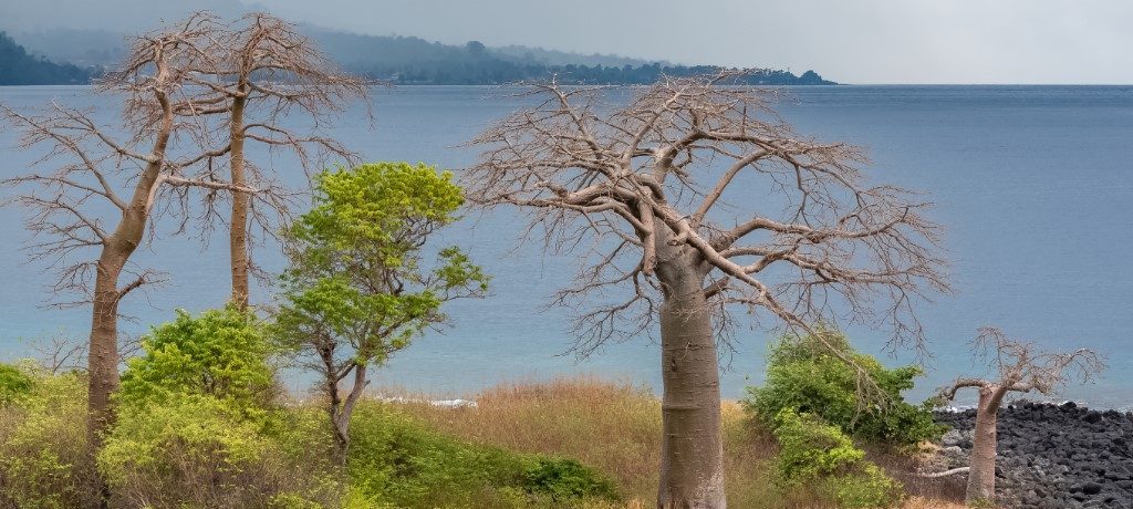 Lagoa Azul, Sao Tomé - Shutterstock Sao Tomé
