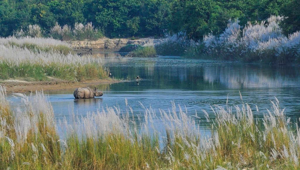 Luxe safari Dudhwa