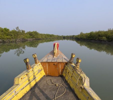 mangrove safari, Sundarbans, India - Shutterstock Bootsafari mangrove