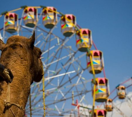 Pushkar Fair, India - Shutterstock Pushkar