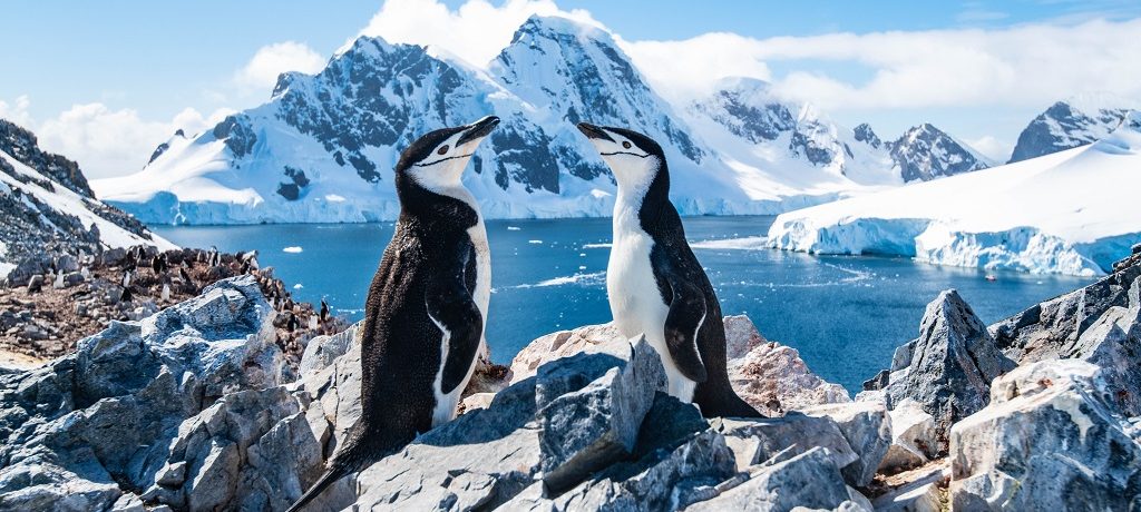 Natuurgebied Antarctica