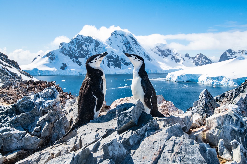 Natuurgebied Antarctica